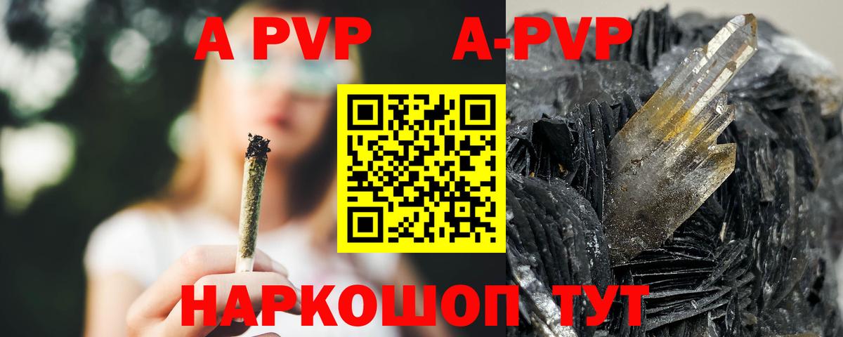 Альфа ПВП СК Шахты
