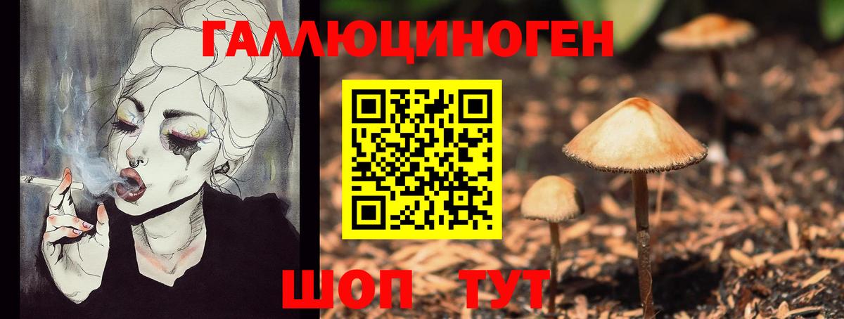 Галлюциногенные грибы прущие грибы  Псилоцибиновые грибы MAGIC MUSHROOMS  Шахты  Вход с VPN 